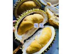 云南紅河屏邊榴蓮/菠蘿/西瓜批發(fā)圖1
