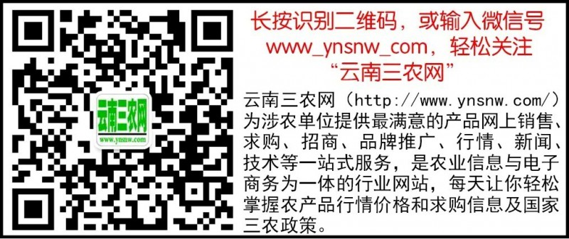 網站專用，二維碼