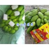 2018新芒果產(chǎn)地銷售(芒果采購(gòu)銷售15025067483)