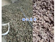 蒼術批發(fā)商—玉龍縣魯甸鄉(xiāng)麗生藥材種植農民合作社_云南蒼術圖2