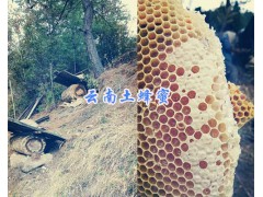 麗江哪里土蜂蜜多？蜜蜂養(yǎng)殖場蜂蜜直銷400-6633-626圖3
