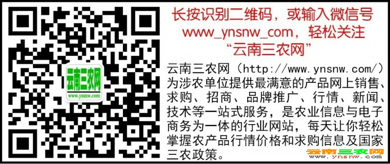 網(wǎng)站專用，二維碼