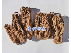 5月大理當(dāng)歸貨源-13577293119*云當(dāng)歸干貨出售圖1