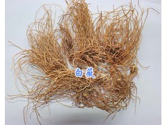白芨片-獨(dú)角白芨/云南白薇、薄荷干批發(fā)13577293119圖2