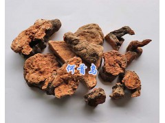 燈盞細(xì)辛價(jià)格/大理滇重樓干貨-云南川穹、何首烏報(bào)價(jià)圖3