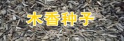 云木香現(xiàn)在是多少價(jià)格？