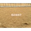 云南獨(dú)定子基地在哪？建水金鐵鎖干貨銷售_紅河州獨(dú)定子
