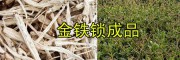 祿勸金鐵鎖種子-純度高、雜質(zhì)少獨(dú)定子種子_昆明金鐵鎖供應(yīng)