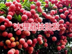 緬甸進口水果：圣德龍芒果-大理哈密瓜-山竹-荔枝批發(fā)圖2