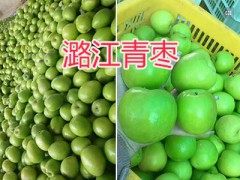 臺灣大青棗批發(fā)-云南保山青棗銷售_云南產(chǎn)地青棗圖2