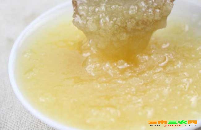 椴樹(shù)蜜