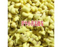 羅平黃姜,紅河,昆明小黃姜價(jià)格多少錢一斤?云南干姜代賣圖3