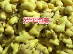 羅平無(wú)硫干姜片多少一斤-干姜塊批發(fā)價(jià)格_云南干姜供應(yīng)圖3