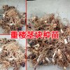 重樓賣什么價(jià)格_重樓怎么賣?重樓塊莖多少錢一斤?