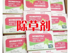 銷售云南滇黃精苗，塊莖大，芽頭好圖3