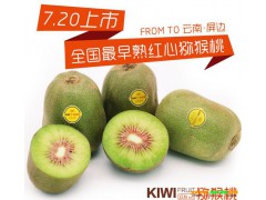 獼猴桃基地批發(fā)價(jià)格表_獼猴桃客服是多少圖1