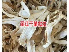 當(dāng)歸的價格多少錢一斤?-種植當(dāng)歸的畝效益麗江農(nóng)特產(chǎn)信息網(wǎng)圖1