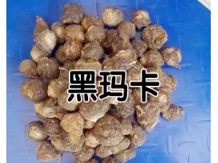 麗江瑪咖哪里有賣？_云南麗江瑪咖食用方法圖2