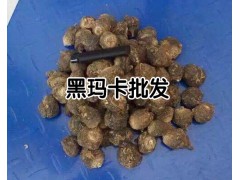 麗江瑪咖哪里有賣？_云南麗江瑪咖食用方法圖3