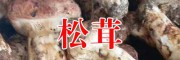 云南干松茸哪里的好？
