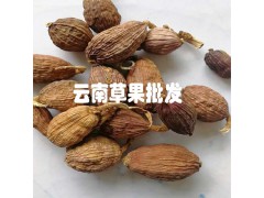 草果什么價_野草果價格_草果價格中心_草果新行情價格圖2