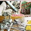 云南/玉林/亳州/安國(guó)獨(dú)角蓮(重樓)價(jià)格表