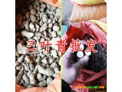 中藥材三葉青的作用是什么？-哪里有三葉青藥材賣圖3