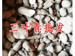 你了解中藥材三葉青藥用價值嗎？圖3