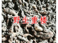 2018重樓報價-重樓批發(fā)圖2