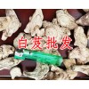 白芨價格-白芨批發(fā)價格
