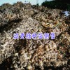 求購(gòu)黃精種苗|找文山丘北方圓種養(yǎng)殖農(nóng)民專(zhuān)業(yè)合作社