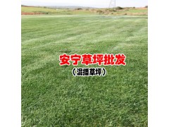 草皮價(jià)格報(bào)價(jià)中心_報(bào)價(jià)供應(yīng)商圖3