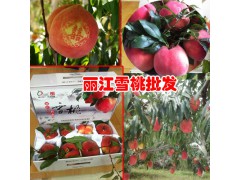 500克的麗江雪桃能賣(mài)多少錢(qián)?圖1