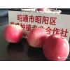 宣威市哪里有昭通蘋(píng)果|昭通果業(yè)基地|13887043679