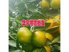 玉溪市華寧縣盤(pán)溪鎮(zhèn)張翠柑桔種植基地圖3
