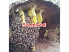 云南土蜂蜜特點(diǎn)_云南土蜂蜜保山有銷(xiāo)售圖2