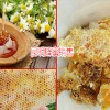 云南德宏州瑞麗百花蜜多少錢(qián)1斤?-土蜂蜜的功效