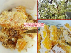 云南保山市土蜂蜜多少錢?_圖1