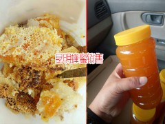 云南臨滄市土蜂蜜多少錢(qián)?_2018土蜂蜜價(jià)格網(wǎng)圖2