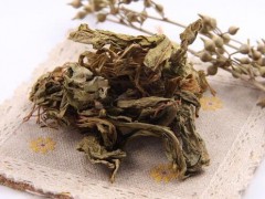 陸良曲靖燈盞花/種子、種苗生產(chǎn)基地、規(guī)范化種植示范基地圖2