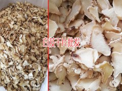 白芨種植戶_白芨的種植利潤(rùn)有多少?圖2