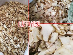 白芨種植戶_白芨的種植利潤(rùn)有多少?圖3
