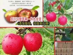 云南野蘋果_“智慧果”、“記憶果”營養(yǎng)價(jià)值圖1