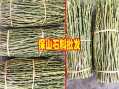 鐵皮石斛不適時葉子會發(fā)黃_南石斛多少錢一克?云南石斛功效圖3