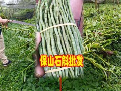 云南石斛花市場價格多少錢一斤?圖2