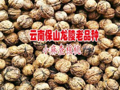 云南30mm去皮干核桃多少錢一斤圖1