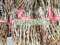 2018“仙草”鐵皮石斛價(jià)格圖1