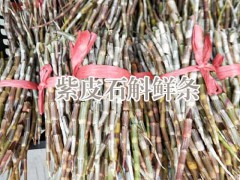 2018“仙草”鐵皮石斛價(jià)格圖2