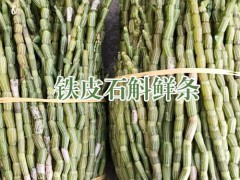 浙江鐵皮石斛花_云南鐵皮石斛花價格多少錢一斤？圖2
