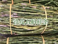 云南鐵皮石斛什么時(shí)候開花?__石斛產(chǎn)于云南哪里圖1